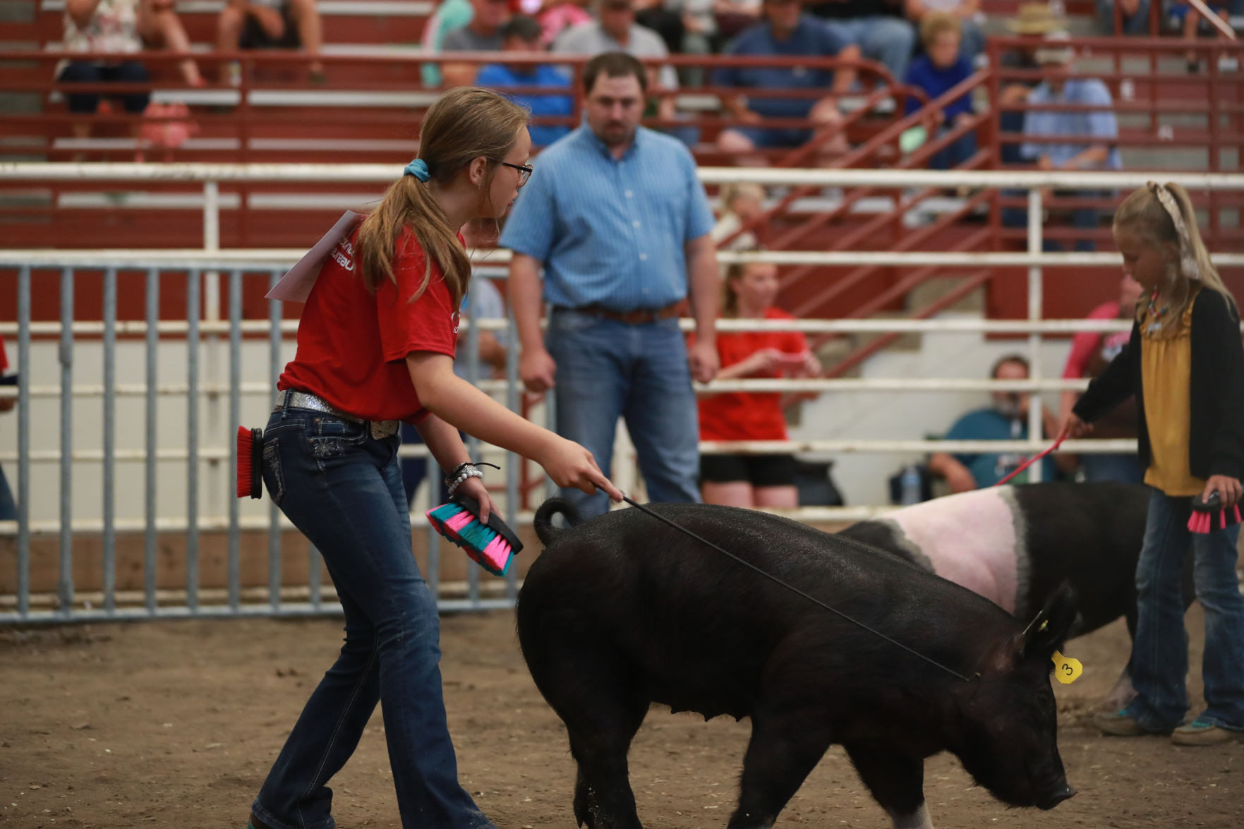 071119_HallCoFair07_bjs.JPG